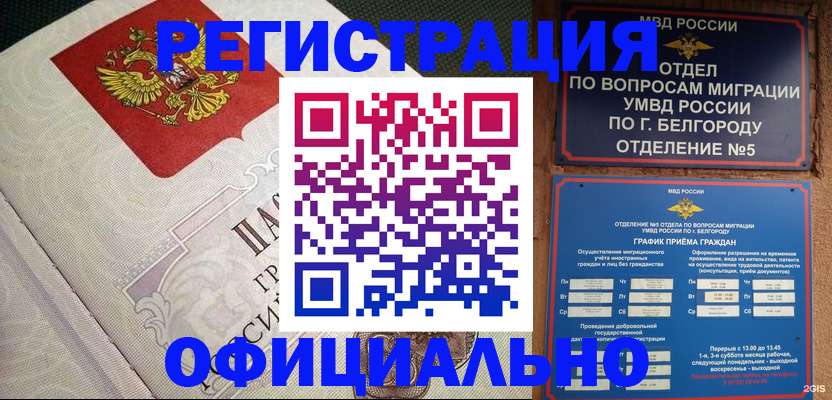 временная регистрация законно в Курской области